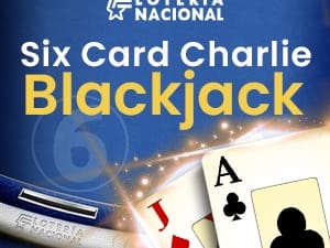 Six Card Charlie Blackjack screenshot